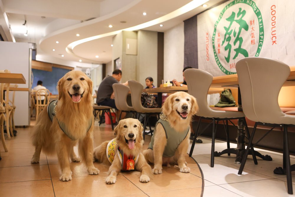導盲犬友好餐廳