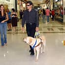 導盲犬友好餐廳